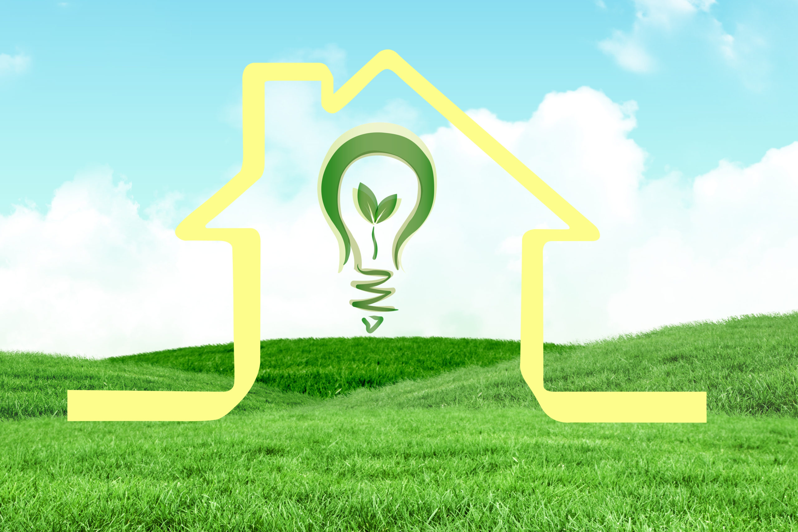 Source https://www.ecolife.zone/
